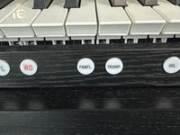 Johannus Opus 260 solostemmen