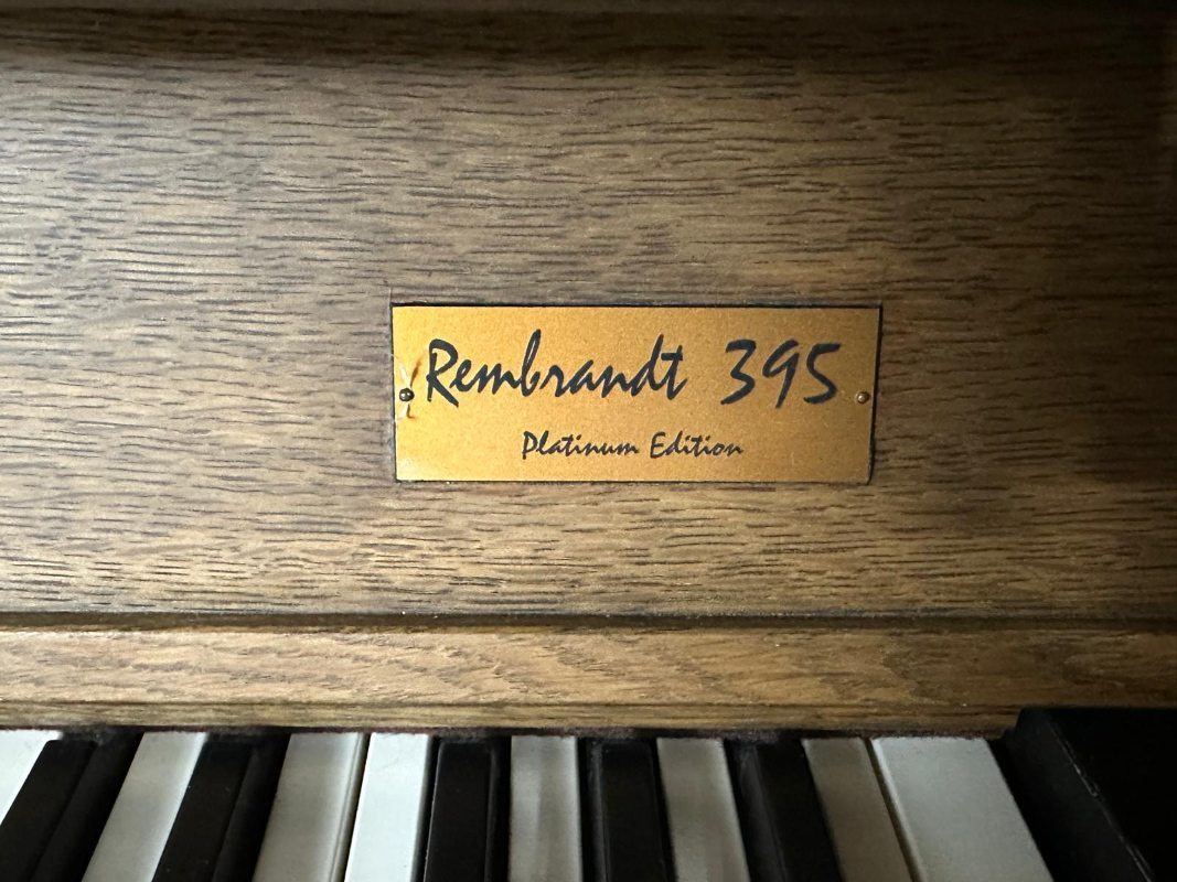 Johannus Rembrandt 395