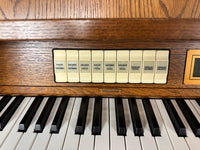 Johannus Rembrandt 395 speelhulpen