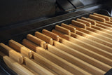 Mixtuur Intrada II