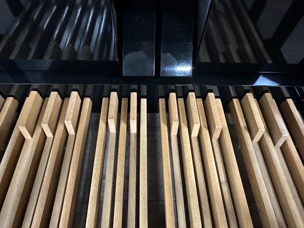 NoorlanderHarmoniquezwelpedalen