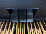 Andantino 350