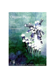 Organo_Pleno_ deel 6