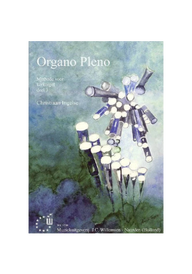 Organo Pleno deel 3