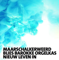 Johannus Sampleset Onze Lieve Vrouwekerk Zwolle