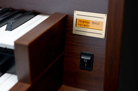 Studio_etude_bedieningspaneel_Wenge