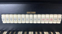 ViscountChorale3DLXregistersManI