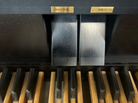 ViscountChorale3DLXzwelpedalen