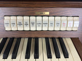Viscount Vivace 40 DLX