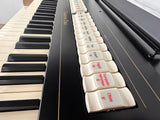 Viscount Cantorum Duo detailfoto Registers
