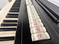 Viscount Cantorum Duo detailfoto Registers