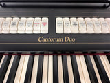 Viscount Cantorum Duo logo