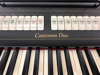 Viscount Cantorum Duo logo