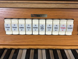Viscount Prestige VIII registers Man I