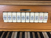 Viscount Prestige VIII registers Man I