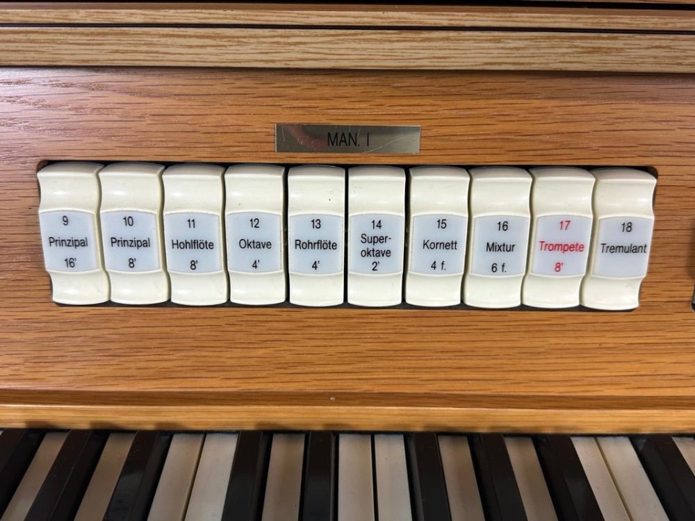 Viscount Prestige VIII registers Man I