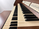 Viscount Vivace 40 klavieren
