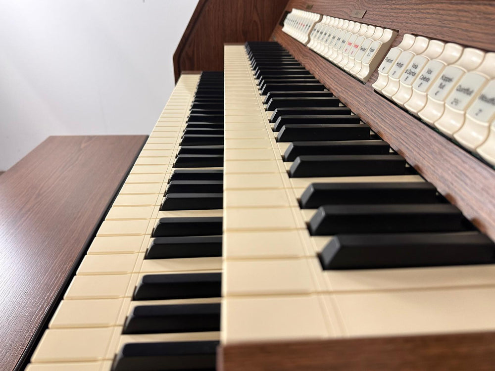 Viscount Vivace 40 klavieren