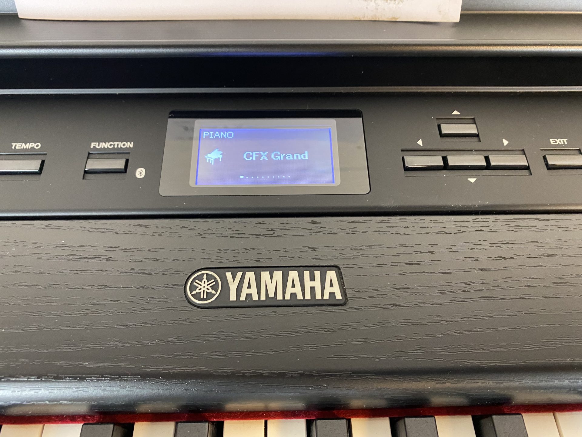 Yamaha P515