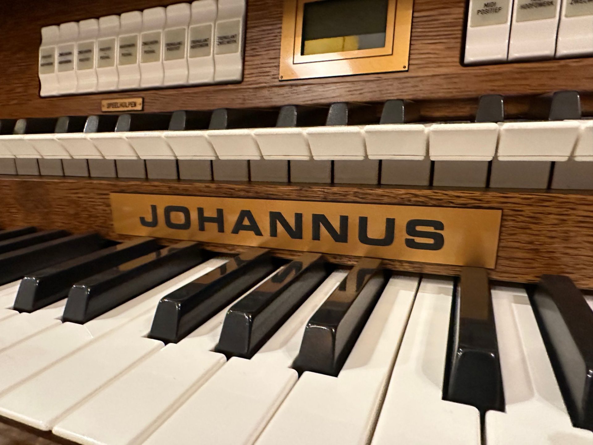 Johannus Rembrandt 395 oud hollands eiken Andante Orgels