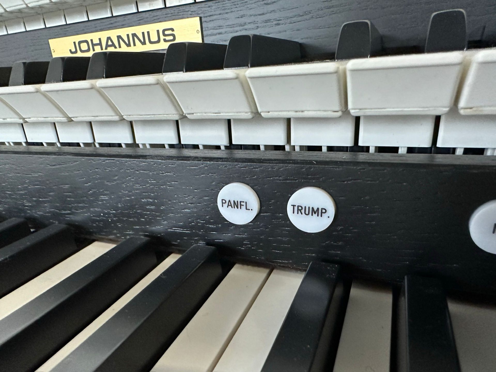 Johannus Studio 350 licht eiken Andante Orgels